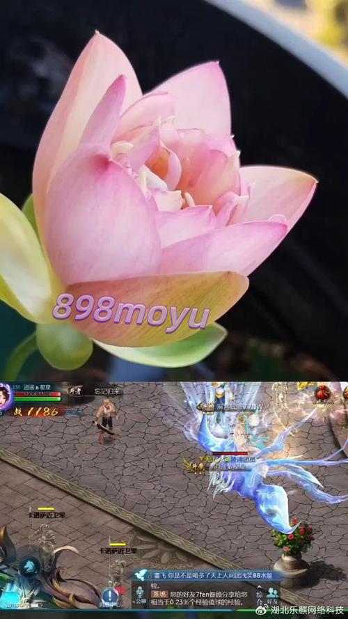 魔域sf外挂_魔域sf外挂_魔域sf外挂